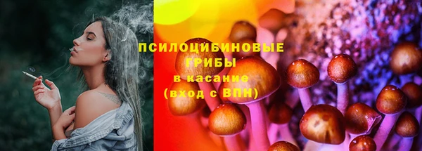 герыч Богородск